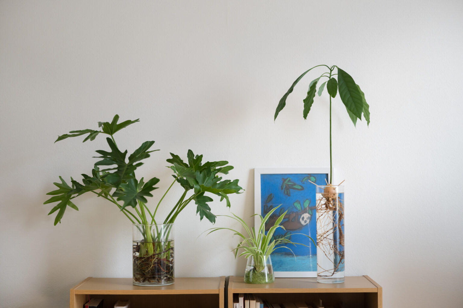 パワーの源、植物の生命力